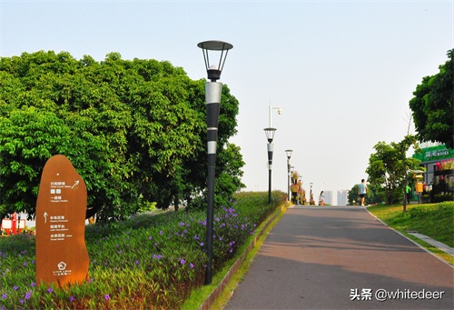 随拍公园 - 环湖游走 深圳立新湖公园