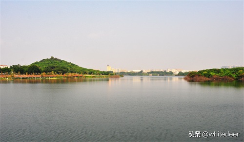 随拍公园 - 环湖游走 深圳立新湖公园