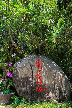 亚龙湾热带天堂森林公园，滨海山地生态观光兼生态度假型森林公园