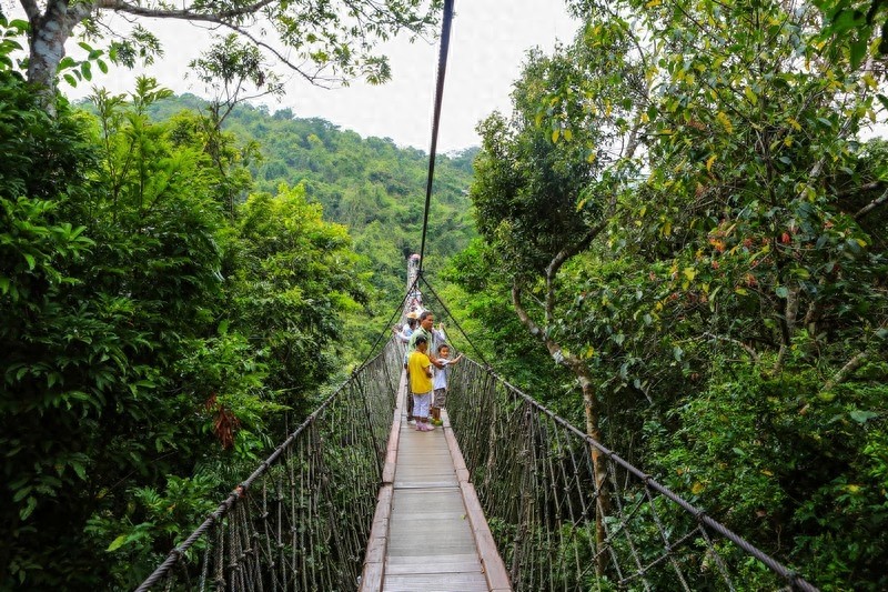 亚龙湾热带天堂森林公园，滨海山地生态观光兼生态度假型森林公园