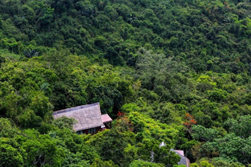 亚龙湾热带天堂森林公园，滨海山地生态观光兼生态度假型森林公园