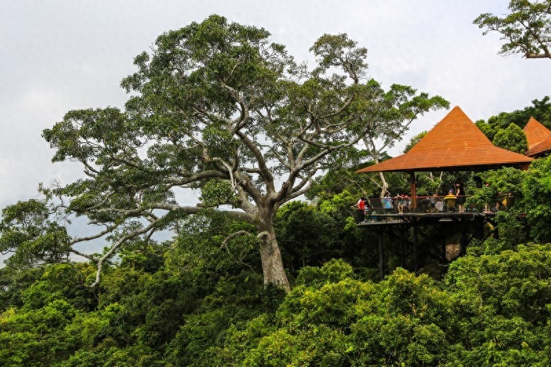 亚龙湾热带天堂森林公园，滨海山地生态观光兼生态度假型森林公园