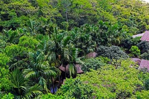 亚龙湾热带天堂森林公园，滨海山地生态观光兼生态度假型森林公园