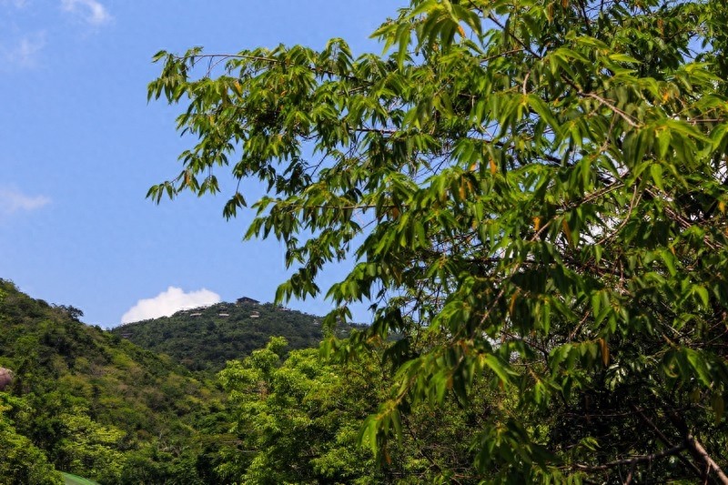 亚龙湾热带天堂森林公园，滨海山地生态观光兼生态度假型森林公园