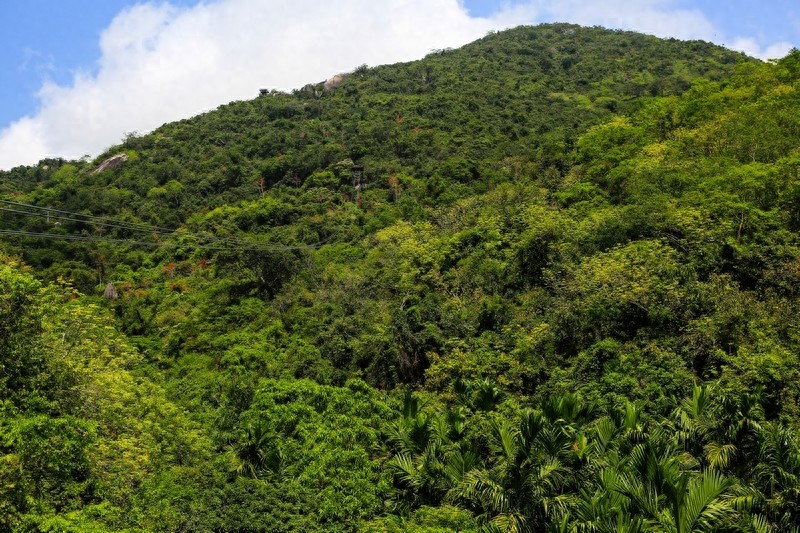 亚龙湾热带天堂森林公园，滨海山地生态观光兼生态度假型森林公园