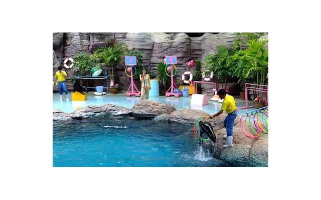 想要脱单，最起码先从做到这些开始