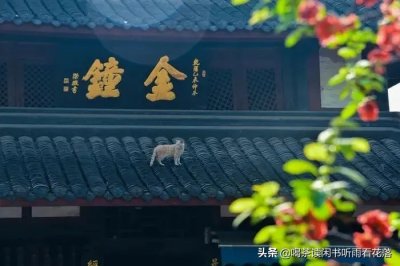 ​文殊院——成都最美的寺院