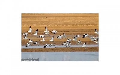 ​“我，就不耽误你打光棍儿了”