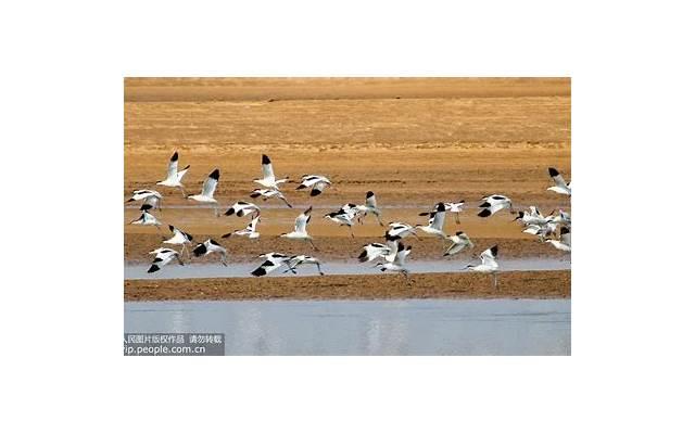 “我,就不耽误你打光棍儿了” “我,就不耽误你打光棍儿了”