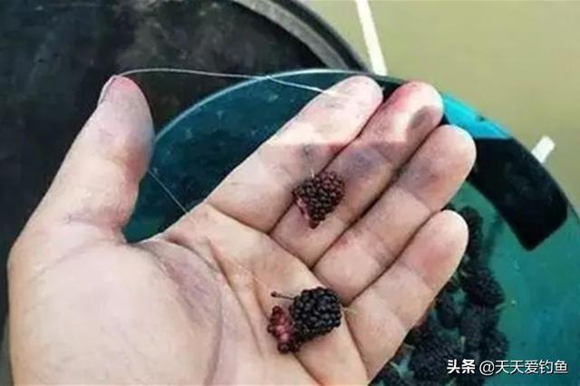 经典钓草鱼饵料配方大全（几款绝杀饵料配方）(5)