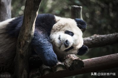 ​我国建立国家公园体制主要有三个方面的考虑