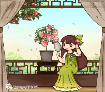 ​茶花好养吗（茶花的几点养殖技巧文章分享）