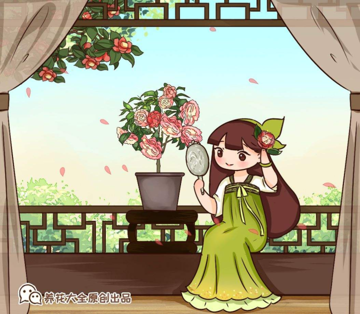 茶花好养吗（茶花的几点养殖技巧文章分享）