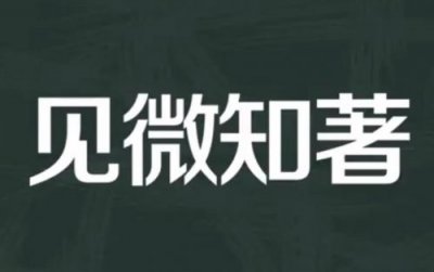 ​见微知著的近义词是什么(见微知著的近义词成语)