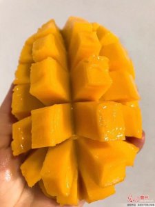 ​芒果吃了会上火吗(芒果吃了会上火吗秘)