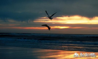 ​喜欢一个女生要怎么去追，怎么样才可以快速追上一个女生