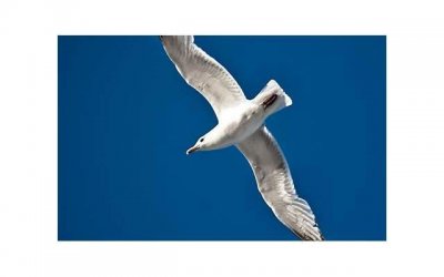 ​男人出轨后悔了有什么办法补救::学学这4招