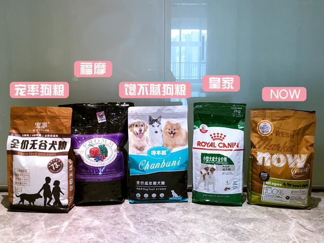 狗狗去世了会去哪（狗狗去天堂后不要埋）(9)