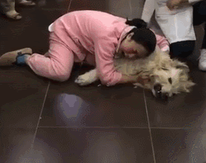 狗狗去世了会去哪（狗狗去天堂后不要埋）(1)