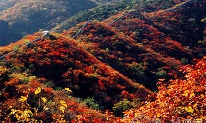 郑州红叶2021最佳观赏时间