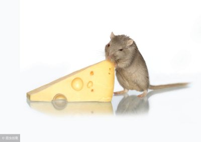 ​1972年属鼠的是什么命 1972年属鼠的是什么水命