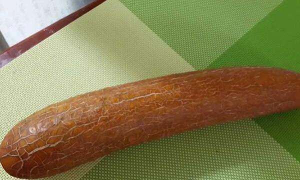 老黄瓜冻上冬天可以吃,老黄瓜怎么保存可以冬天吃到新鲜的图7