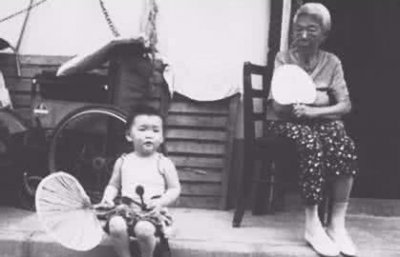 ​蚊子的危害，苍蝇蚊子对人有哪些危害？