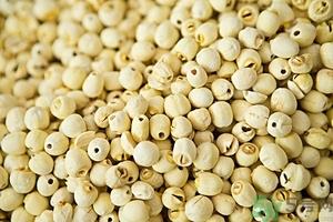莲子有什么功效与作用 莲子的食用方法禁忌