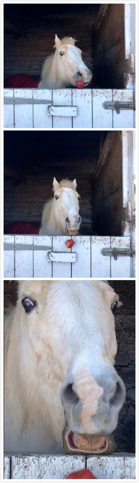 囧图三期（雷死人不偿命的囧图集）(9)