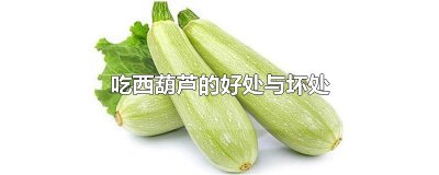 ​吃西葫芦的好处与坏处