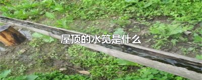 ​屋顶的水笕是什么