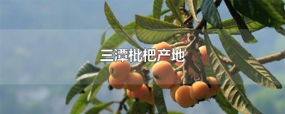 ​三潭枇杷产地