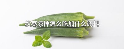 ​秋葵凉拌怎么吃加什么调料