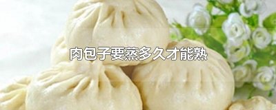 ​肉包子要蒸多久才能熟