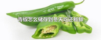 ​青椒怎么储存到冬天吃还新鲜