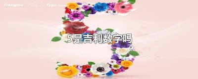 ​5是吉利数字吗