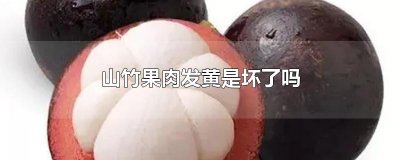 ​山竹果肉发黄是坏了吗