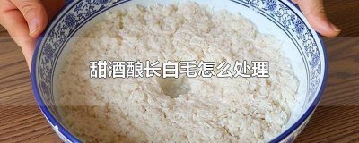 ​刚做好的甜酒酿有白毛 甜酒怎么会长白毛呢