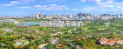 ​园博园是干嘛的