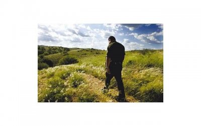 ​属 羊人：下周开始财运一路飙升，赚钱如流水，发财势不可挡！