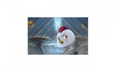 ​母亲过生日送什么花？送给妈妈十佳礼物