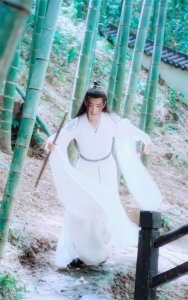 ​#肖战陈情令，白衣魏无羡，共20张图片，喜欢的自取，禁二改商用