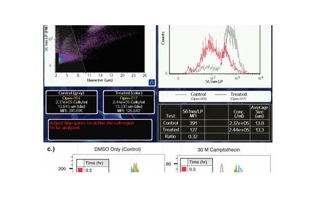 喜欢一个人敢于表白(喜欢一个人会大胆的表白)