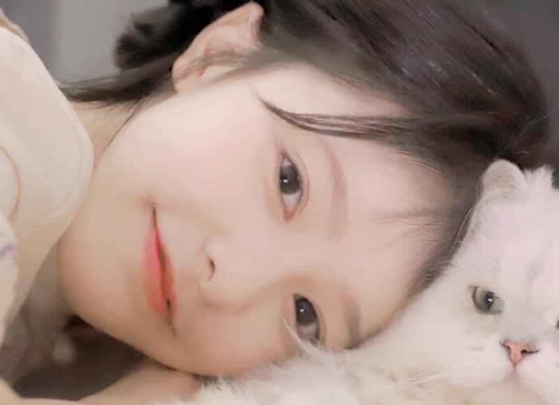 剑灵刺客pvp加点 剑灵刺客pvp加点