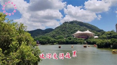 ​粤语歌曲《最后一班渡轮》，曾航生演唱，旋律抒情，歌词深情