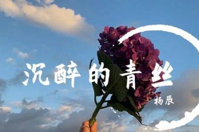 ​沉醉的青丝歌词是什么意思