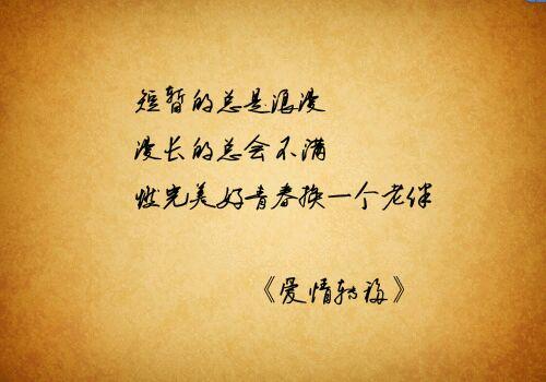 爱情转移告诉我们一个什么道理(歌曲爱情转移的含义)