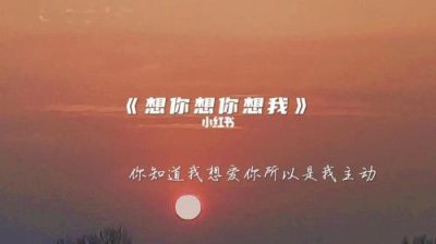 ​歌词里有想你想你是什么歌