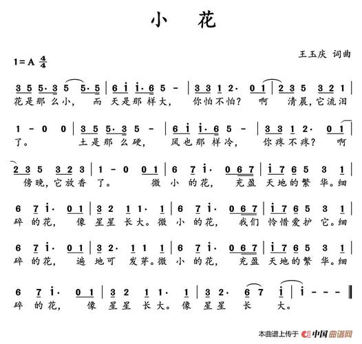 小花主题曲歌词歌曲(小花主题曲歌词是什么)