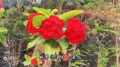 ​请欣赏那英演唱的歌曲《春暖花开》